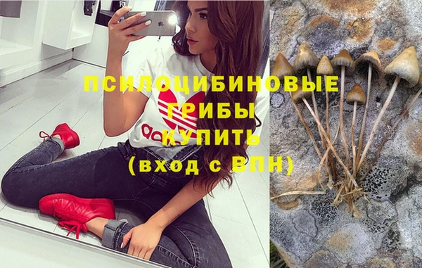 герыч Кропоткин