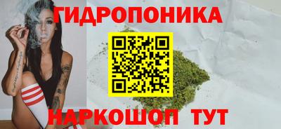 мдпв Жуковский