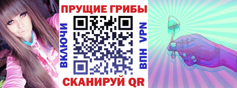Псилоцибиновые грибы Psilocybe  Медногорск 