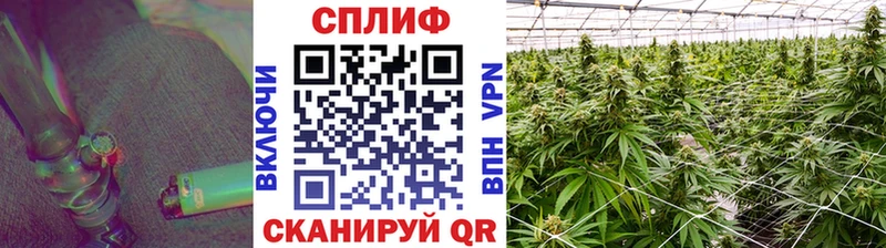 Бошки Шишки индика  Медногорск 
